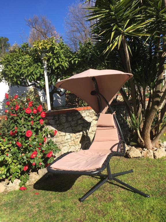 B&B Claro De Luna Tovo San Giacomo Dış mekan fotoğraf